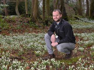 Supporting image for story: Looking forward to spring? Take a snowdrop walk in Shropshire