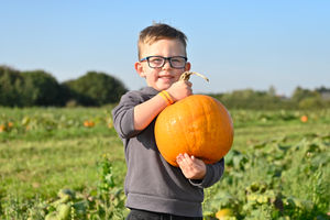 Pumpkin picking at Pumpkin Village at the National Forest Adventure Farm
