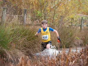 Supporting image for story: Organisers gearing up for 15th Mad Jack's 5 mud run held at Attingham Park 