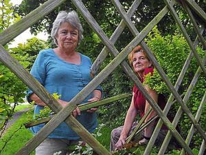Supporting image for story: Heartless vandals trash Ludlow floral display