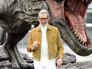 Supporting image for story