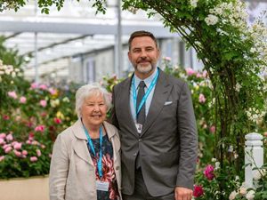 Supporting image for story: Milestone gold for David Austin Roses at Chelsea Flower Show