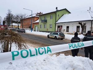 Supporting image for story: Student held in Slovakia after two people fatally stabbed at high school