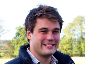 Supporting image for story: Hoping for a price drop could set things back come spring