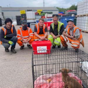 Some of the workers at Site Clear Solutions who looked after the cubs (Image by Site Clear Solutions)