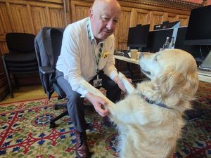 Supporting image for story: Parliamentary pup Jennie loves a ‘good lie down’ in the Commons chamber