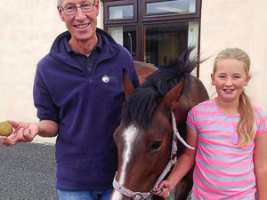 Supporting image for story: Huge stone is cause of pony's pain