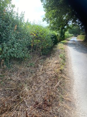 Roadside ditches adjacent to the lagoon site. Picture: Chris Naylor