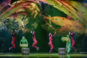 Cirque du Soleil OVO. Pictures by: Chris Bowley
