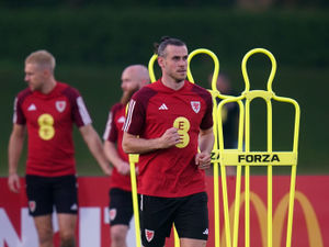 Supporting image for story: Former West Brom striker Rob Earnshaw: Beware of wounded Gareth Bale

