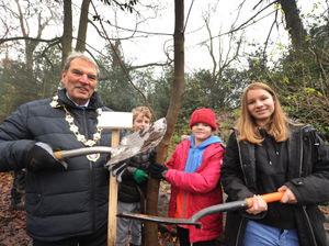 Supporting image for story: New tree graces Ellesmere's Cremorne Gardens