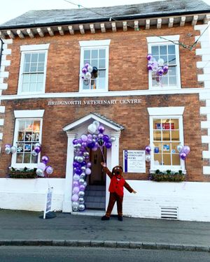 Veterinary nurse at Bridgnorth Veterinary Centre Kayleigh Smart helping to celebrate the practice's birthday