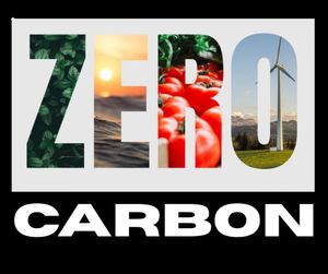 Kidderminster Town Council's Zero Carbon Target