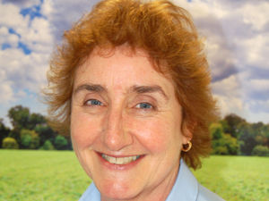 Supporting image for story: Lower light and cold nights hit sow fertility