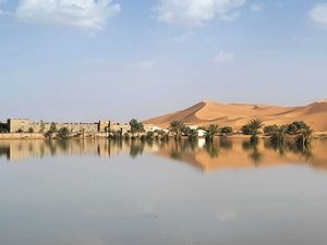 Supporting image for story: Water gushes through palm trees and sand dunes after rare rain in Sahara Desert
