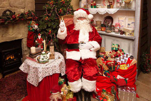 Supporting image for story: Dudley Zoo Christmas grotto welcomed highest number of visitors