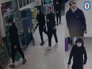 The suspects