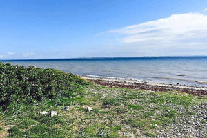 Supporting image for story: Travel review: Denmark's South Jutland, the place where dreams come true