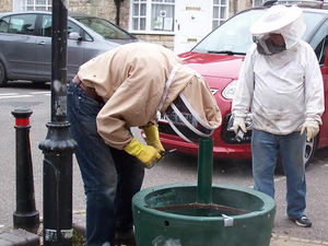 Supporting image for story: Peter Rhodes: When you're cleaning what, ma'am?