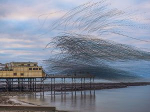 Photo taken by Andrew Fusek Peters, pro wildlife photographer