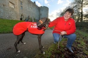 Kim Byers with Sam the dog at a recent winter walk organised by Hector's Greyhound Rescue
