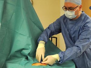 Supporting image for story: Small surgical robots could be the future of keyhole surgery