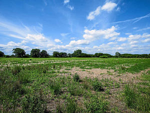 Supporting image for story: Work to begin on new MoD Donnington defence hub