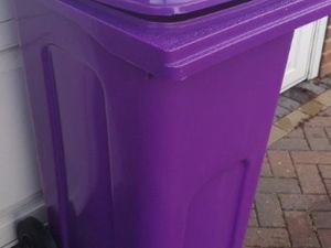 Supporting image for story: 'It will lead to more fly-tipping': Fears over 37.5 per increase in green waste collections in Wolverhampton