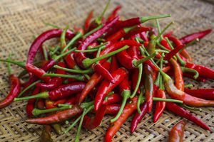 Supporting image for story: Chilli eating contest set for Birmingham's annual Chilli Festival