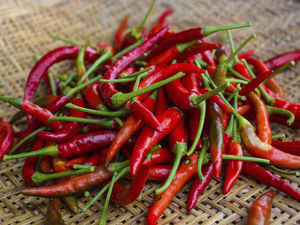 Supporting image for story: Chilli eating contest set for Birmingham's annual Chilli Festival