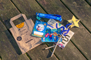 Room on the Broom activity pack.