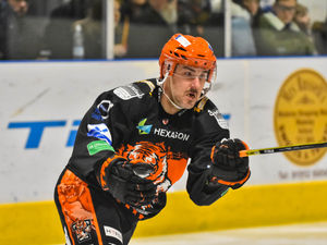 Supporting image for story: Tigers snap their losing streak 