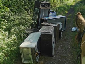 Supporting image for story: Telford horse rider told landowner should clear path littered by fly-tippers