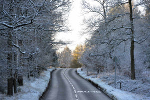 Winter scenes on Cannock Chase off Broadhurst Green road