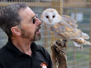 Supporting image for story: £900k Dudley owl sanctuary project scrapped after two years