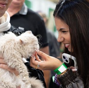 The Cat Show Live 2025