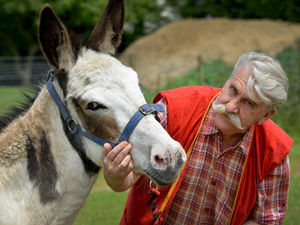 Supporting image for story: Sanctuary owner offers to help give dead horse floating in river a proper burial