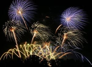 Supporting image for story: Fireworks event planned for Weston Park