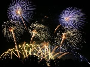 Supporting image for story: Fireworks event planned for Weston Park