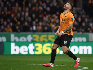Supporting image for story: Wolves 0 Brighton 0 - Report and pictures 