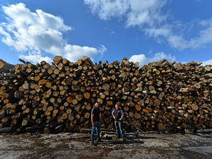 Supporting image for story: Bobbington business Black Country Firewood keeping home fires burning