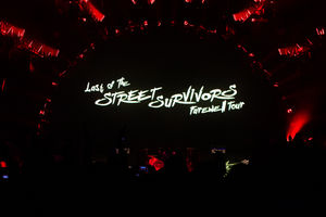 Lynyrd Skynyrd. Pictures by: Adriana Vasile