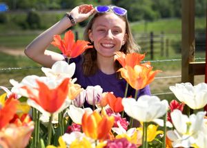 Harriet Jenner, of Lower Drayton Farm, Penkridge,  enjoying the tulips.
