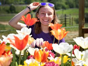 Harriet Jenner, of Lower Drayton Farm, Penkridge,  enjoying the tulips.