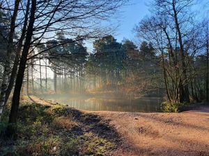 Supporting image for story: Cannock Chase and Chasewater set to receive £450,000 funding to boost visitor experience