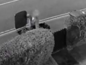 Supporting image for story: WATCH: Binman sacked after being caught on camera switching rubbish