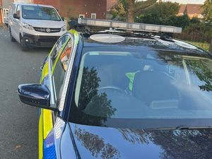 Supporting image for story: Delivery van stolen after driver left engine running is found by police 