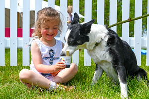 Two days of sunshine saw the perfect start to DogFest's family-friendly tour around the UK!