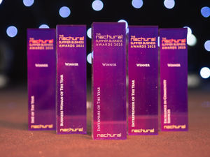 Trophies on display at the Nachural Awards including the Businesswoman of the Year prize (second from the left) which Ms Heran had been nominated for by Dudley Council. Picture Nachural Awards free for LDRS use