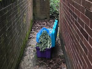 Supporting image for story: Box full of cannabis found in children's playground